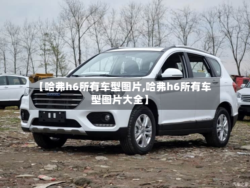 【哈弗h6所有车型图片,哈弗h6所有车型图片大全】