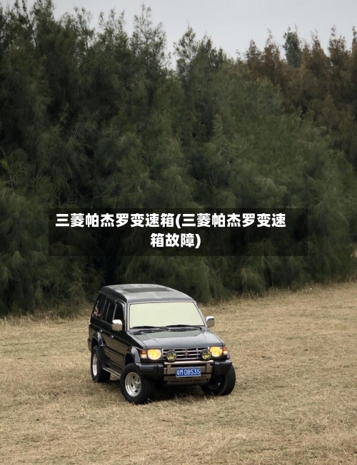 三菱帕杰罗变速箱(三菱帕杰罗变速箱故障)