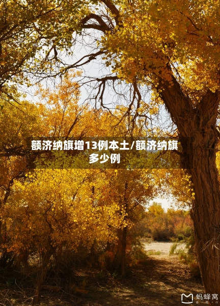 额济纳旗增13例本土/额济纳旗多少例-第2张图片