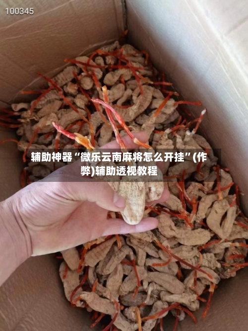 辅助神器“微乐云南麻将怎么开挂”(作弊)辅助透视教程-第3张图片