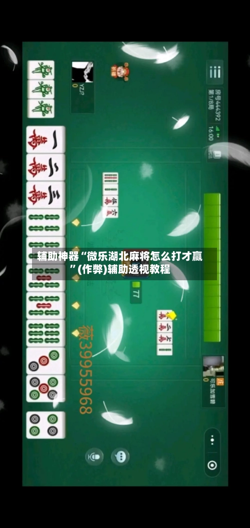 辅助神器“微乐湖北麻将怎么打才赢”(作弊)辅助透视教程-第2张图片