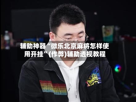 辅助神器“微乐北京麻将怎样使用开挂”(作弊)辅助透视教程-第2张图片