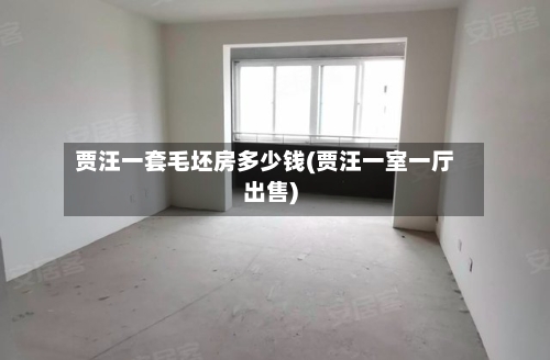 贾汪一套毛坯房多少钱(贾汪一室一厅出售)