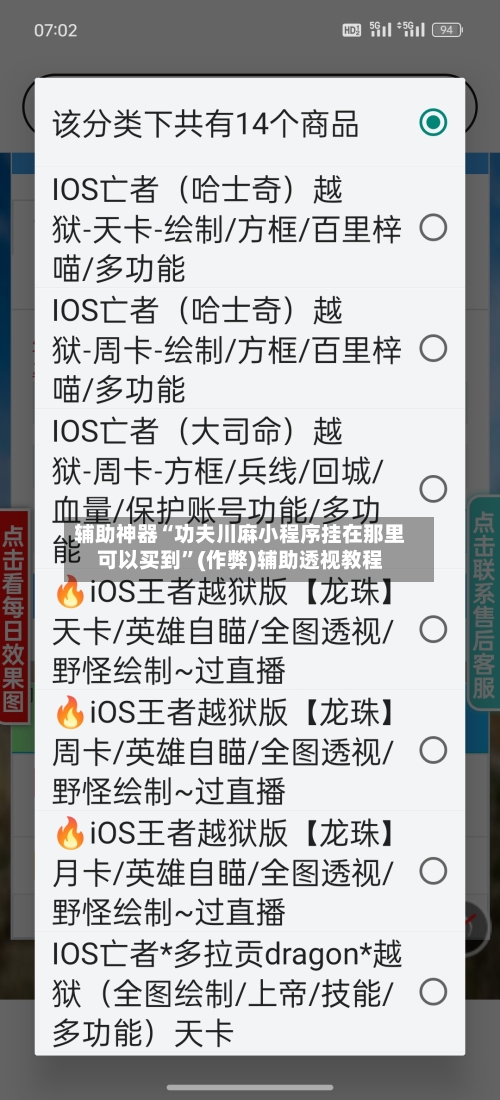 辅助神器“功夫川麻小程序挂在那里可以买到”(作弊)辅助透视教程-第3张图片