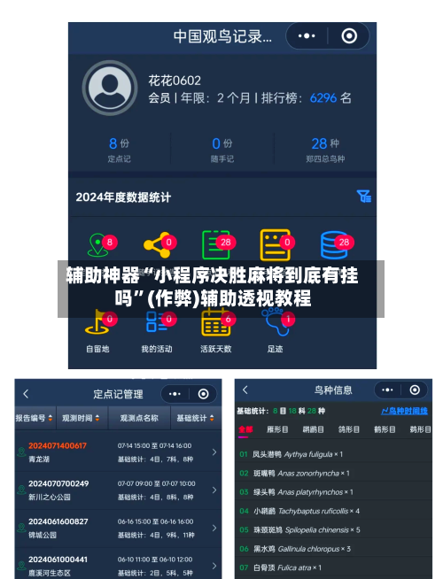 辅助神器“小程序决胜麻将到底有挂吗”(作弊)辅助透视教程-第2张图片