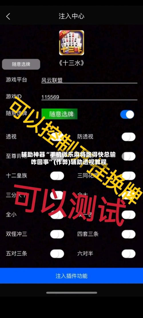 辅助神器“手机微乐麻将跑得快总输咋回事”(作弊)辅助透视教程