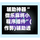 辅助神器“微乐麻将小程序插件”(作弊)辅助透视教程-第2张图片