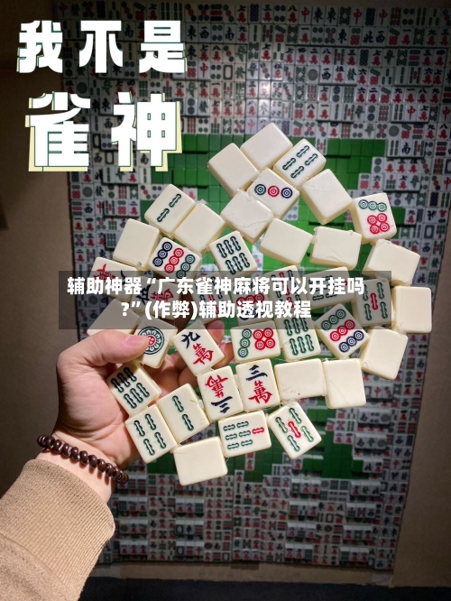 辅助神器“广东雀神麻将可以开挂吗?”(作弊)辅助透视教程-第3张图片