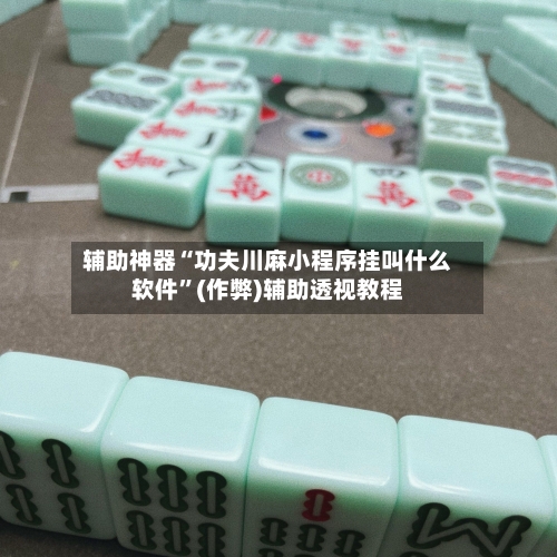 辅助神器“功夫川麻小程序挂叫什么软件”(作弊)辅助透视教程-第3张图片
