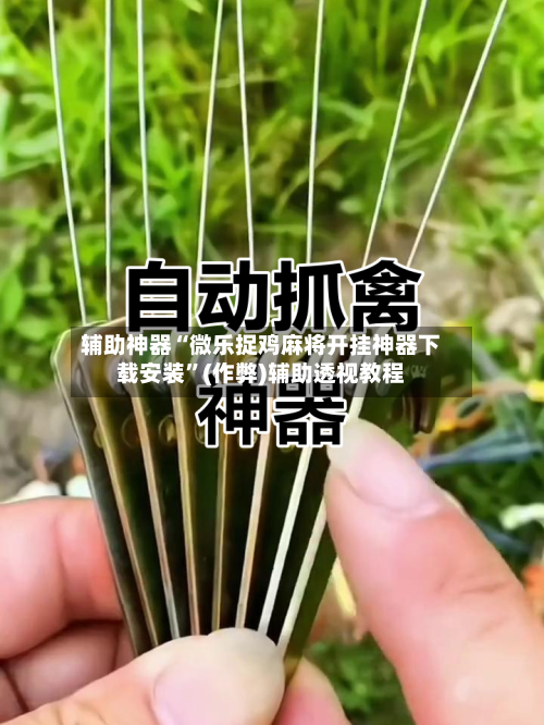辅助神器“微乐捉鸡麻将开挂神器下载安装”(作弊)辅助透视教程-第3张图片