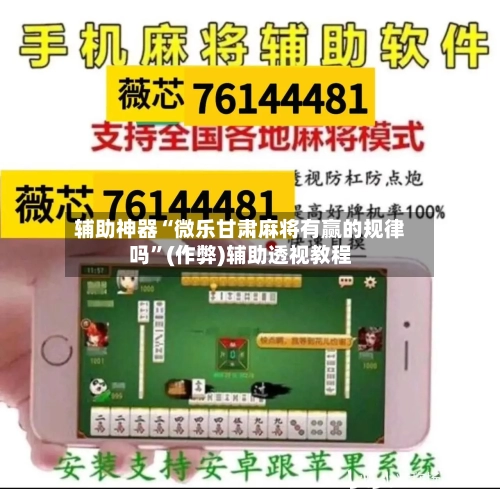 辅助神器“微乐甘肃麻将有赢的规律吗”(作弊)辅助透视教程-第3张图片