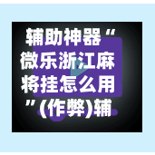 辅助神器“微乐浙江麻将挂怎么用”(作弊)辅助透视教程-第2张图片