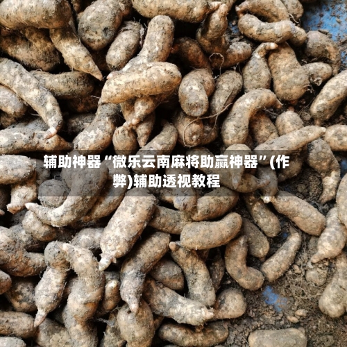 辅助神器“微乐云南麻将助赢神器”(作弊)辅助透视教程