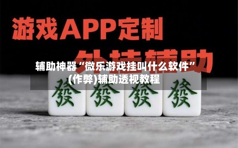 辅助神器“微乐游戏挂叫什么软件”(作弊)辅助透视教程-第2张图片
