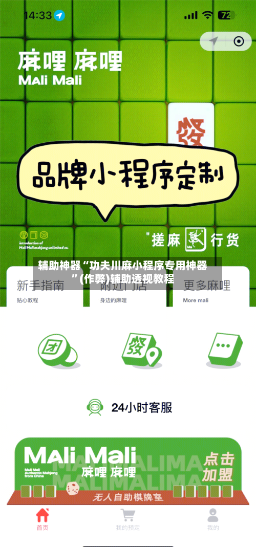 辅助神器“功夫川麻小程序专用神器”(作弊)辅助透视教程-第3张图片