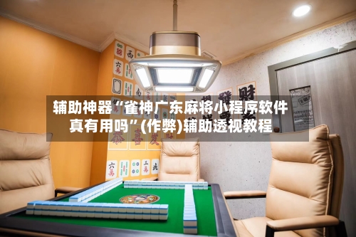 辅助神器“雀神广东麻将小程序软件真有用吗”(作弊)辅助透视教程-第2张图片