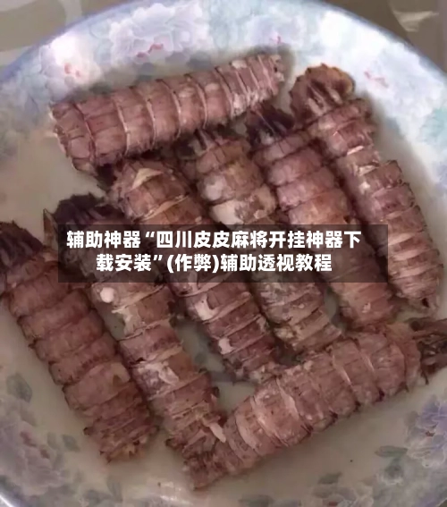 辅助神器“四川皮皮麻将开挂神器下载安装”(作弊)辅助透视教程-第2张图片