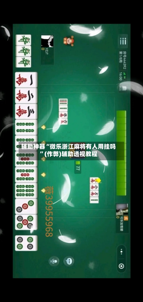 辅助神器“微乐浙江麻将有人用挂吗”(作弊)辅助透视教程