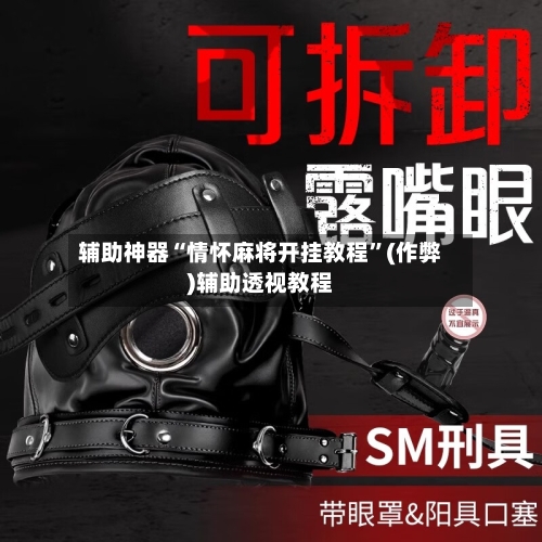 辅助神器“情怀麻将开挂教程”(作弊)辅助透视教程-第2张图片