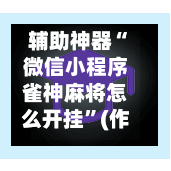 辅助神器“微信小程序雀神麻将怎么开挂”(作弊)辅助透视教程-第2张图片