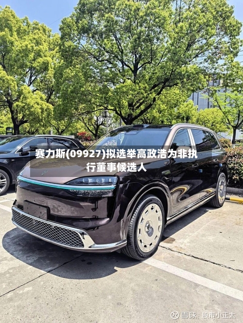 赛力斯(09927)拟选举高政浩为非执行董事候选人-第2张图片