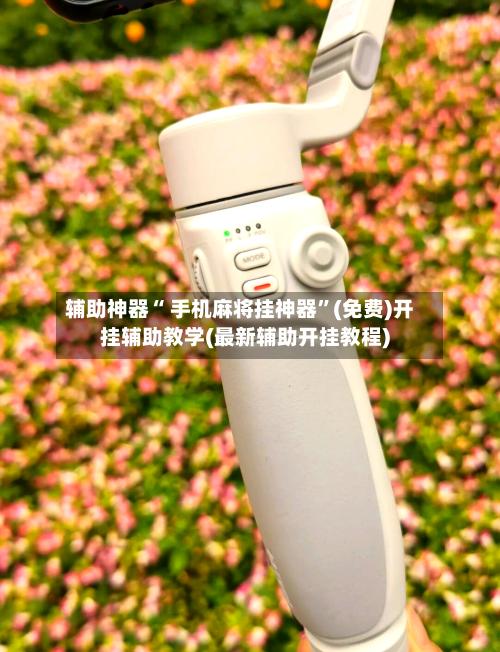 辅助神器“ 手机麻将挂神器”(免费)开挂辅助教学(最新辅助开挂教程)