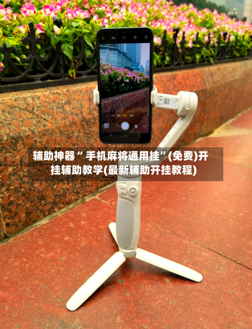 辅助神器“ 手机麻将通用挂”(免费)开挂辅助教学(最新辅助开挂教程)-第2张图片