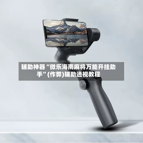 辅助神器“微乐海南麻将万能开挂助手”(作弊)辅助透视教程-第2张图片