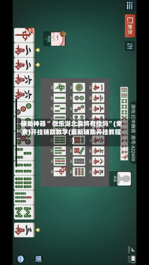 辅助神器“ 微乐湖北麻将有挂吗”(免费)开挂辅助教学(最新辅助开挂教程)-第2张图片