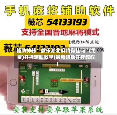 辅助神器“ 微乐湖北麻将有挂吗”(免费)开挂辅助教学(最新辅助开挂教程)-第3张图片