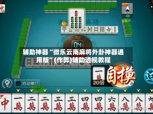 辅助神器“微乐云南麻将外卦神器通用版	”(作弊)辅助透视教程-第2张图片