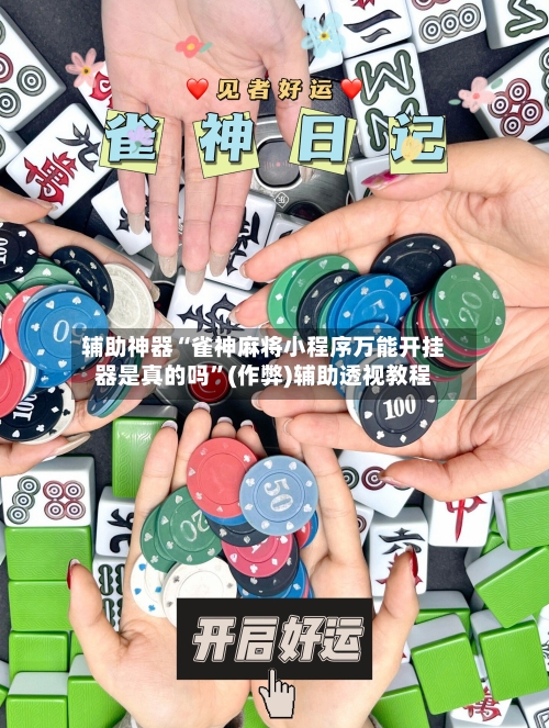 辅助神器“雀神麻将小程序万能开挂器是真的吗”(作弊)辅助透视教程-第3张图片