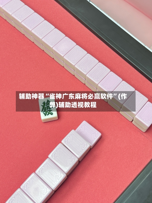 辅助神器“雀神广东麻将必赢软件”(作弊)辅助透视教程-第3张图片