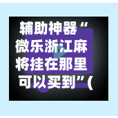 辅助神器“微乐浙江麻将挂在那里可以买到	”(作弊)辅助透视教程-第2张图片