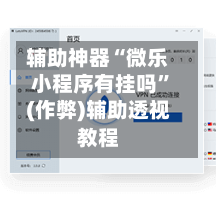 辅助神器“微乐小程序有挂吗	”(作弊)辅助透视教程-第2张图片