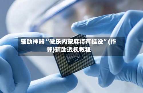 辅助神器“微乐内蒙麻将有挂没”(作弊)辅助透视教程-第3张图片