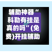 辅助神器“ 科勒有挂是真的吗”(免费)开挂辅助教学(最新辅助开挂教程)