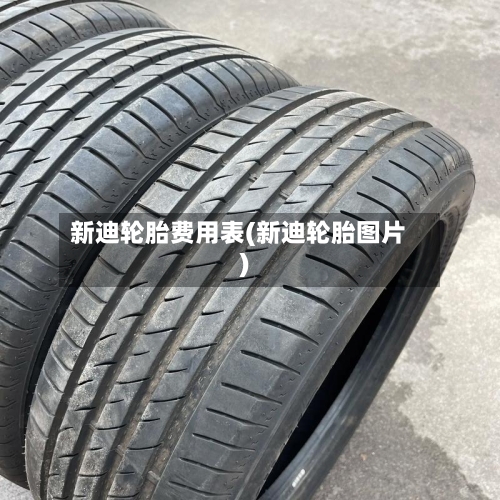 新迪轮胎费用表(新迪轮胎图片)-第2张图片