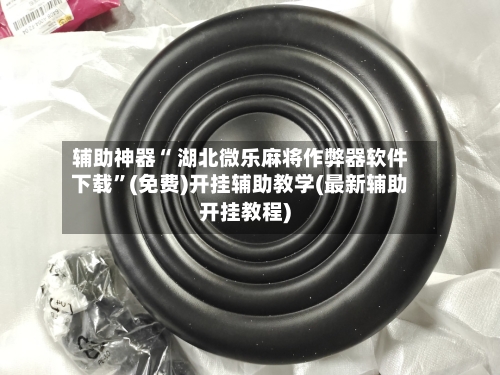 辅助神器“ 湖北微乐麻将作弊器软件下载”(免费)开挂辅助教学(最新辅助开挂教程)-第3张图片
