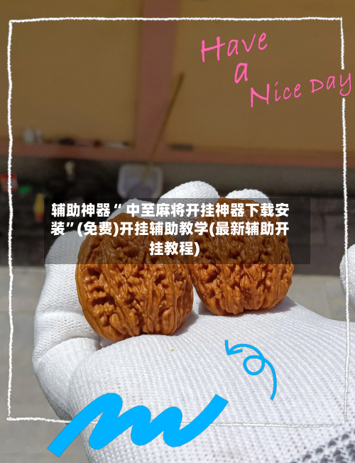 辅助神器“ 中至麻将开挂神器下载安装”(免费)开挂辅助教学(最新辅助开挂教程)-第2张图片