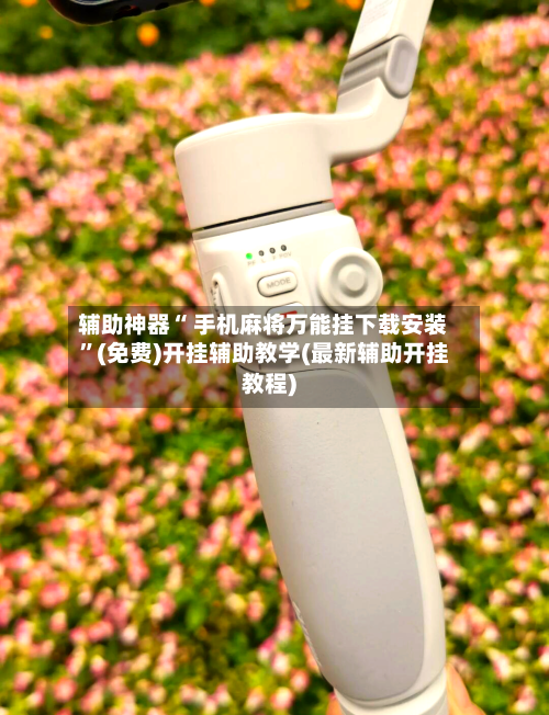 辅助神器“ 手机麻将万能挂下载安装	”(免费)开挂辅助教学(最新辅助开挂教程)-第3张图片