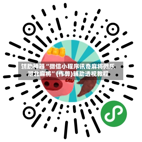 辅助神器“微信小程序讯奇麻将微乐湖北麻将”(作弊)辅助透视教程-第3张图片