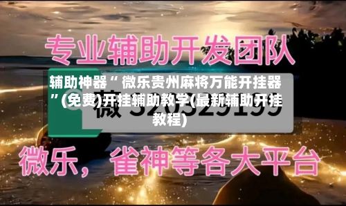 辅助神器“ 微乐贵州麻将万能开挂器”(免费)开挂辅助教学(最新辅助开挂教程)-第3张图片