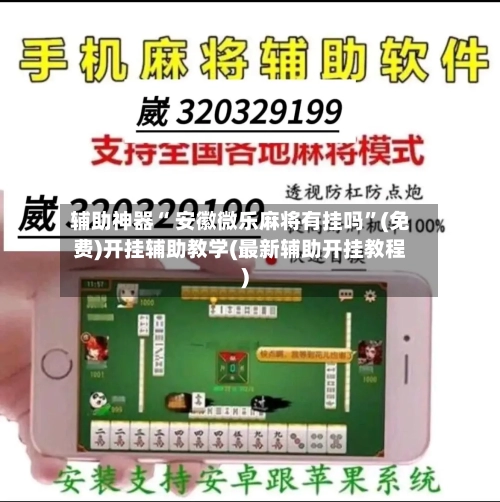 辅助神器“ 安徽微乐麻将有挂吗”(免费)开挂辅助教学(最新辅助开挂教程)-第3张图片