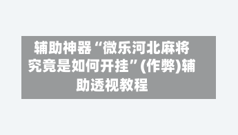 辅助神器“微乐河北麻将究竟是如何开挂”(作弊)辅助透视教程-第3张图片