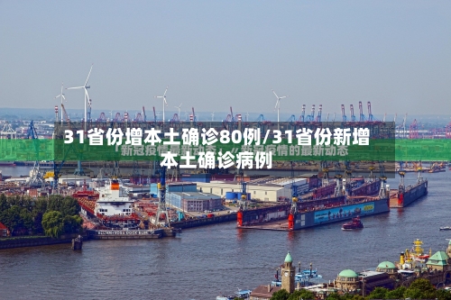 31省份增本土确诊80例/31省份新增本土确诊病例-第3张图片