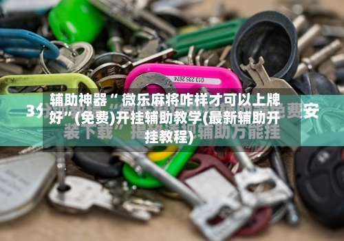辅助神器“ 微乐麻将咋样才可以上牌好	”(免费)开挂辅助教学(最新辅助开挂教程)-第3张图片