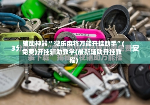 辅助神器“ 微乐麻将万能开挂助手”(免费)开挂辅助教学(最新辅助开挂教程)