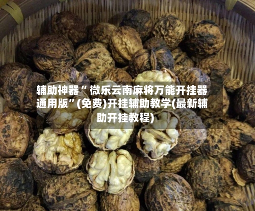 辅助神器“ 微乐云南麻将万能开挂器通用版”(免费)开挂辅助教学(最新辅助开挂教程)