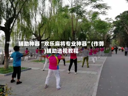 辅助神器“欢乐麻将专业神器”(作弊)辅助透视教程-第2张图片